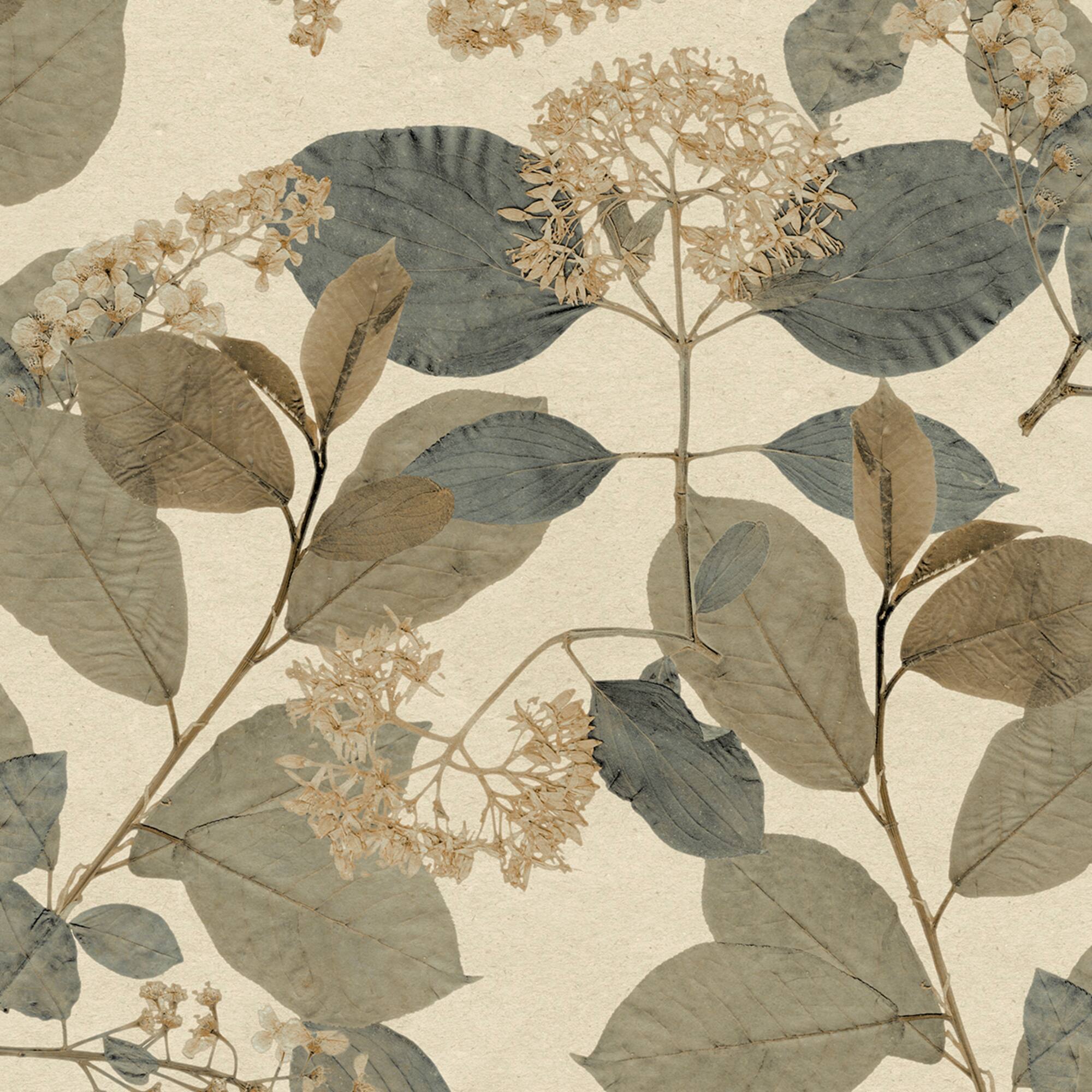 Designs Direct Castanum Bloom Wallpaper